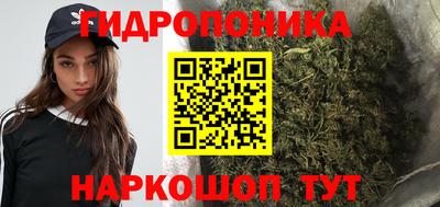 прущие крисы Пугачёв