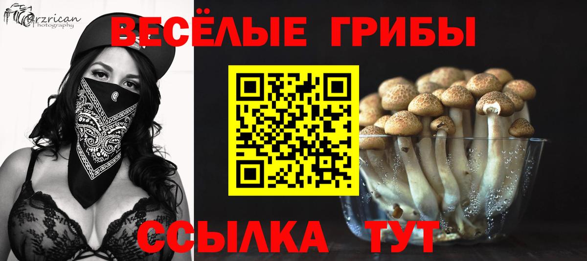 Сорочинск  Псилоцибиновые грибы Magic Shrooms  Вход с VPN 